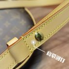 68e5fe3c331648f784dba55755e8a06c-1