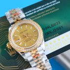 wsxc1699036405100-6-1