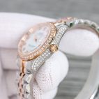 wsxc1699036809792-6-1